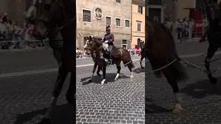 Squadrone a cavallo Voloire pezzi ippo trainati festa repubblica 2025 #esercitoitaliano #2giugno