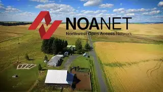 NoaNet | Dave | Seattle Marketing Agency