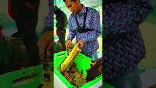 Harvesting Bee pollen in Seconds 🐝🍯 #Shorts Fresh Honey Bee Pollen🍯✨ #HoneyHarvest Bee Pollen