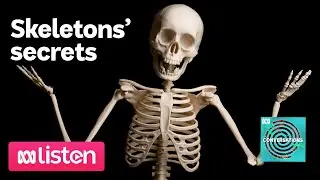 Alice Roberts on the secrets of human skeletons | ABC Conversations Podcast