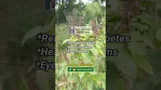 Diabetes, Eye, Problems, Heart Disease etc #subscribe #share #like #education #duet #heal #love #fyp
