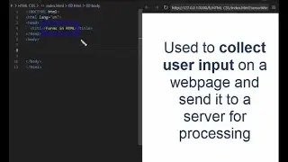 Изучите HTML-формы за 3 минуты! | ASMR-программирование | CodeCraft от MAK #coding #viral #youtub...