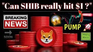 Shiba inu massive update 😱 big burning done 🔥 Shiba inu coin l Shiba inu coin news today l crypto