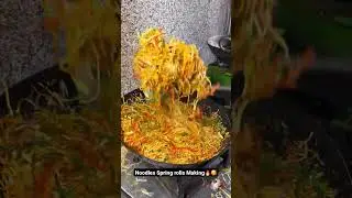 Noodles Spring Rolls🙄😵|| Indian food