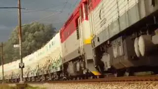 Ekocell 55021