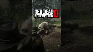 Have you found this RARE RDR2 weapon?..
