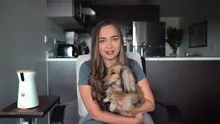 Subscribe & SAVE on Your Furbo + Furbo Dog Nanny!| Furbo Pet Camera