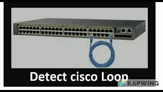HOW to detect cisco loop