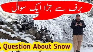 A Question About Snow Falling  | Why Does Snowfall Happen After Many Years? | Rare Snowfalling