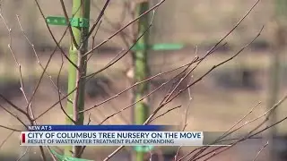 Columbus tree nursery on the move