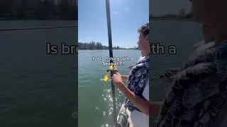 Fishing With A Seagull!😭#fishing #youtubeshorts #youtube #viral #viralvideo #shorts #foryou