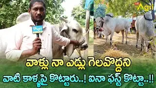 BDRC Bulls Won 1st Prize | వాళ్లు నా ఎడ్లు గెలవొద్దని వాటి కాళ్ళపై కొట్టారు..!! Tone Agri