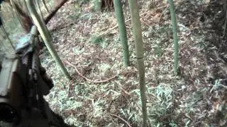 BB Jungle 25Mar12 CRO