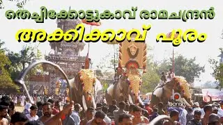 അക്കിക്കാവ് പൂരം #thechikkottukkavuramachandran #thrissurpooram #pooram #aanapremi #thrissurnews