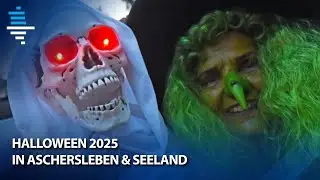 Halloween 2025 in Aschersleben & Seeland