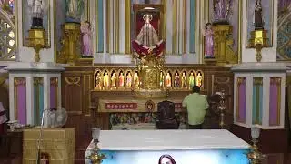 ༺♰༻ 🅛🅘🅥🅔 𝑽𝒂𝒅𝒂𝒗𝒂𝒊 𝑷𝒂𝒓𝒂𝒍𝒐𝒈𝒂 𝑴𝒂𝒕𝒉𝒂 - Daily Mass in Tamil -  2025 - திருப்பலி
