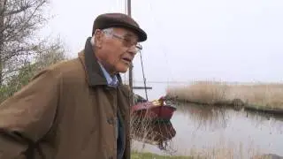 Aukema