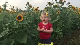 Fall farm fun!!