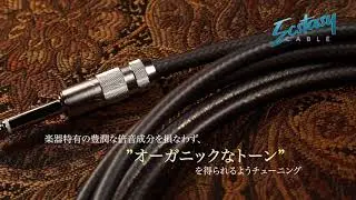 OYAIDE/NEO || ECSTASY CABLE || NEW GUITAR/BASS CABLE ||