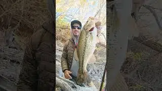 Different day same fish #idahofishing #bassfishing #idahofishing #fishing #idahooutdoors #bass