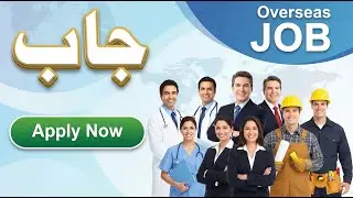 Overseas Pakistanis Foundation Jobs 2026 | Latest OPF Vacancies in Islamabad & Lahore