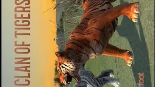 Clan of Tigers, defeating hippo clans