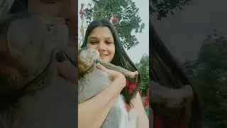 pov- your bestie ❤️😼 #pet#catparenting#trendingshorts#adoptdontshop#youtubeshorts#love#lifeline#cute