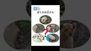 【Level 0】ぼくのお父さん｜にほんごたどくの本／Japanese Books for Tadoku