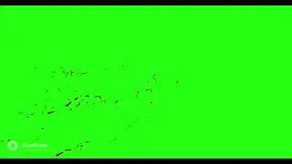 4k Blood Burst Motion Blur (Green Screen) 147 - Free Video Footage