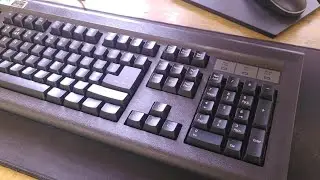 TVS Gold Prime Mechanical Keyboard Unboxing