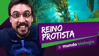 🦠 Microbiologia (3/5): Reino Protista - Biologia - ENEM