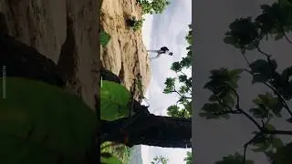 #tamia #madhaypradesh #youtubeshorts #travel #viralvideo
