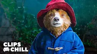 Paddington Trusts the Wrong Person in the Jungle | Paddington in Peru