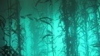 Rozzo - Muramasa