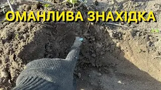 Такого я не чекав! Що ще ховає земля? Пошук на полях.
