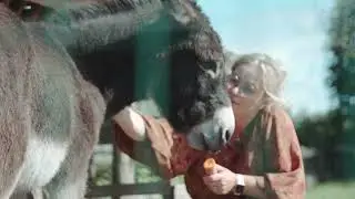 Iemand overlijdt: Wat nu