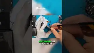 Smartphone Screen Replacement: Easy Guide for Repair [ASUS ZENFONE 10] | Sydney CBD Repair