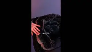 Зимовий конверт Bair Arctic feat Babyup.ua