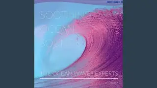 Calm Ocean Waves Experience