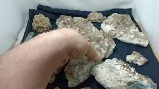 Axinite Natural Crystals Clusters