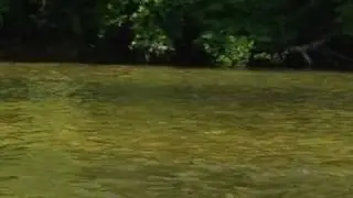 Fly fishing in France