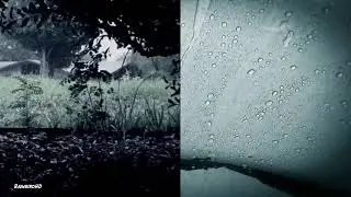 Rain Sounds For Studying, Sleeping, Coding, etc.