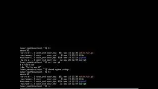 Командная оболочка bash