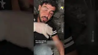 Dog Rescued Under Gaza&rsquo;s Rubble