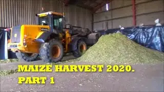 MAIZE HARVEST 2020. PART 1