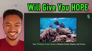 Gen Z Filipino Reacts to Your Monthly Dose of Good News on November by Good News