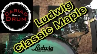 Ludwig Classic Maple at Cariad