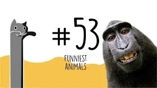 ROAST THESE PARENTS! | Candid Parenting Fail Bloopers, Pranks | Funnies Animals and WTF Moments!