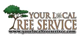 Best Tree Trimming Service In San Antonio TX
