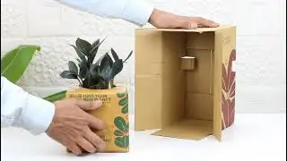 Your Unique Plant Is Here | Introduce Zamia ZZ Black Plant | Perfect for Your Beautiful Space